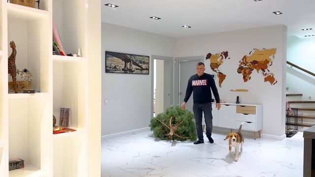 ШЕРЛОК ХОЧЕТ ПОДАРКИ ПОД ЕЛКУ. БРОС ШОУ ПЕТ