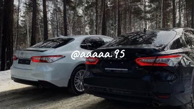 Хьа ойла ярна лозу дог🎶