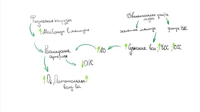 Лекция 8. Регуляция работы сердца. Нормальная физиология.