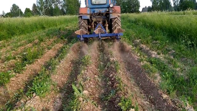 Самодельный окучник с ежами на т-40.