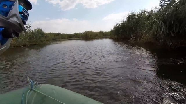 ТАКОГО ВЫ ЕЩЁ НЕ ВИДЕЛИ!!Ловля Белого АМУРА На Камыш.БОМБА!!СУПЕР Уловистая Насадка На Белого Амура
