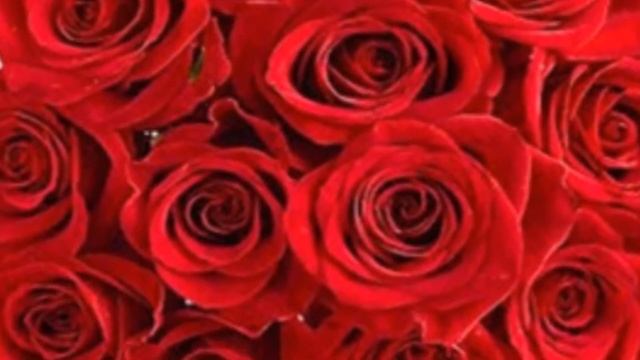 Цветы для МАМЫ. Очень красивая песня для МАМЫ.