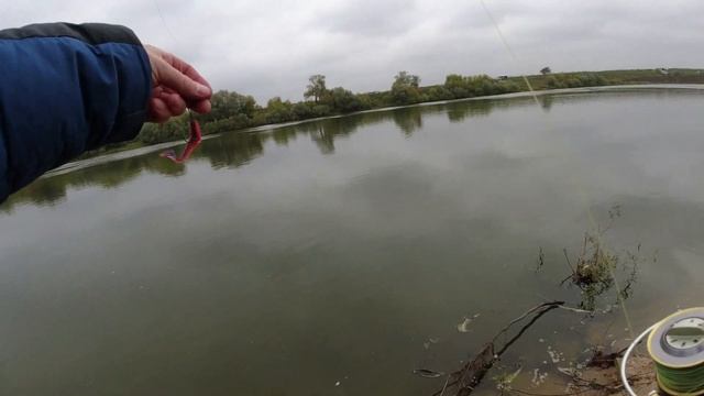 Рыбалка на Оке. Ловля судака на джиг осенью. Спиннинговая ловля с берега.
