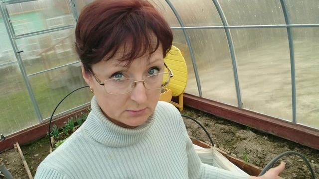 Видео привет с 6 соток 18 апреля 2023 года