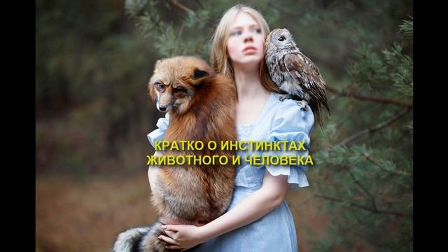 Инстинкты животных и людей.