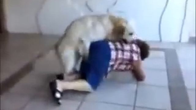 собака трахнула бабушку