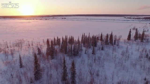 Дарья Волосевич (13 лет) - _Небо славян_ - www.ecoleart.ru(1080P_HD).mp4