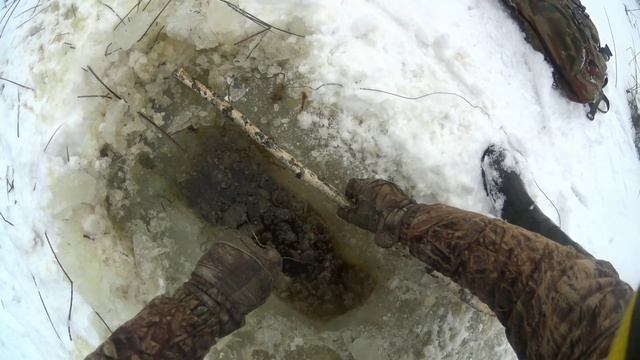 Охота на бобра капканами зимой. Есть бобр+выдра.Ну и жутковато одному.#охотанабобра#капканы#выдра#