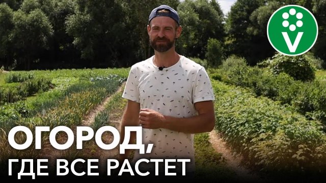 ОГОРОД, НА КОТОРОМ ВСЕ СОЗРЕВАЕТ И РАСТЕТ! Как выглядит огород размером в гектар в июле 2022?