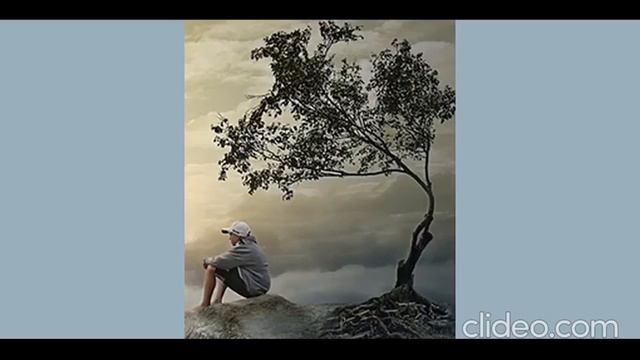 Б. Житков ГАЛКА рассказ для детей