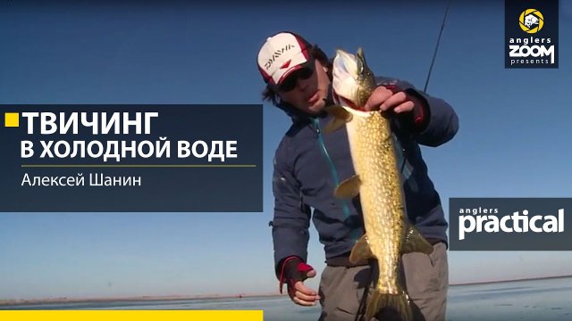 Твичинг в холодной воде. Алексей Шанин. Anglers Practical