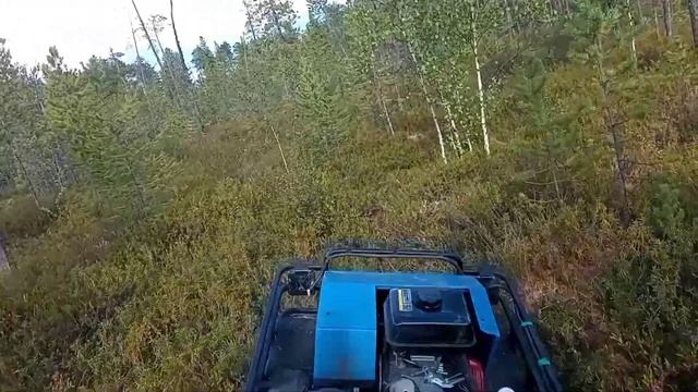 Двухгусеничный  мотобуксировщик "мужик" по лесу