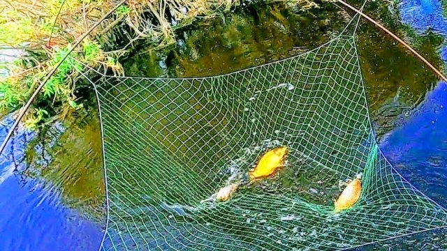 Рыбалка на паук в болотном ручье! Караси-гиганты!Рыбалка 2021!