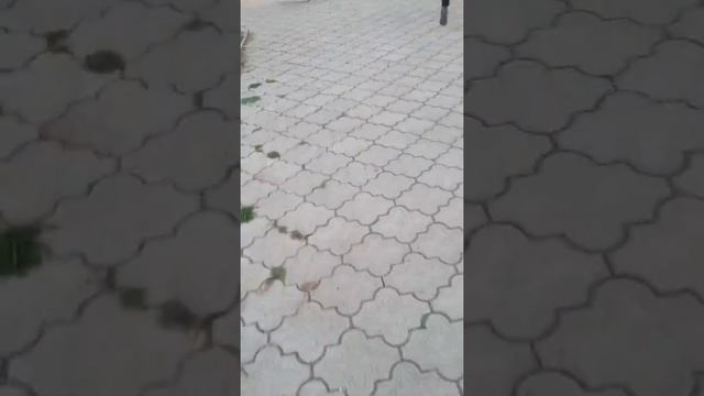 сейчас я уже придумала Как назвать канал Как будет называться сёстры потому что мы будем снимать кр