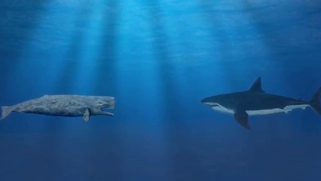 Монстр с огромными зубами | Левиафан Мелвилла | Моби Дик