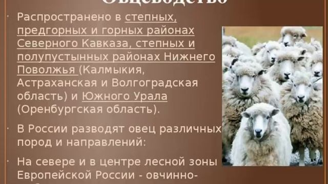 Сельское хозяйство. Животноводство России. 9 класс
