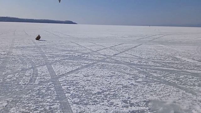 рыбалка в Приморском крае. зимняя рыбалка в Приморье. рыбалка на зубаря приморье.