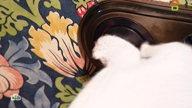 Dachni otvet 20.05.2018 дачный ответ на remont-online.net