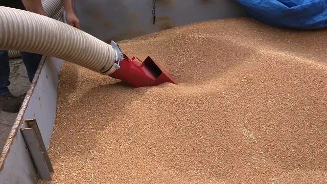 пневмотранспортер Т449