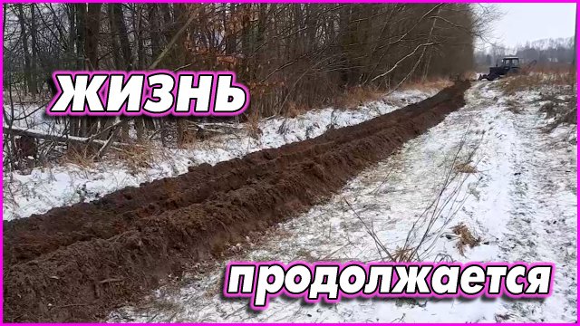#96 Как у нас дела, декабрь 12.12.2021