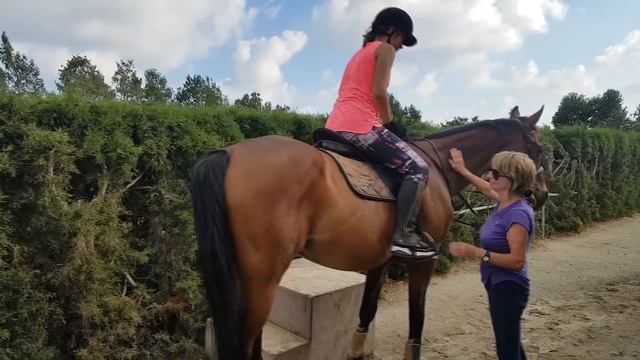 ВИДЕО УРОКА ВЕРХОВОЙ ЕЗДЫ ДЕВОЧКИ ЖЕНИ И ЕЕ СЕСТРЫ || ДЕТИ ВЕРХОМ НА ЛОШАДИ И ПОНИ