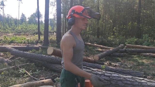 Валка леса /// Мастер Клас для новичков ///