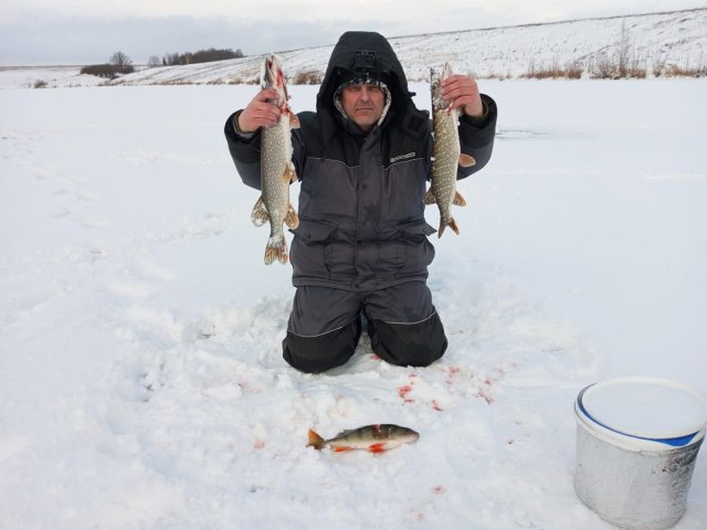 Рыбалка первый лед щука и окунь на жерлицы