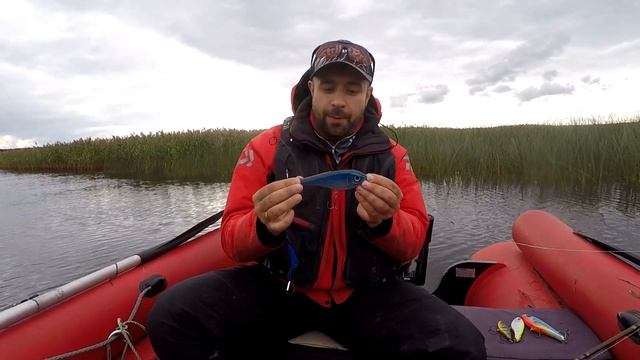 Buster SWIMBAIT! НОВИНКА Strike PRO! Ловля щуки на джерки. Воблеры на щуку.