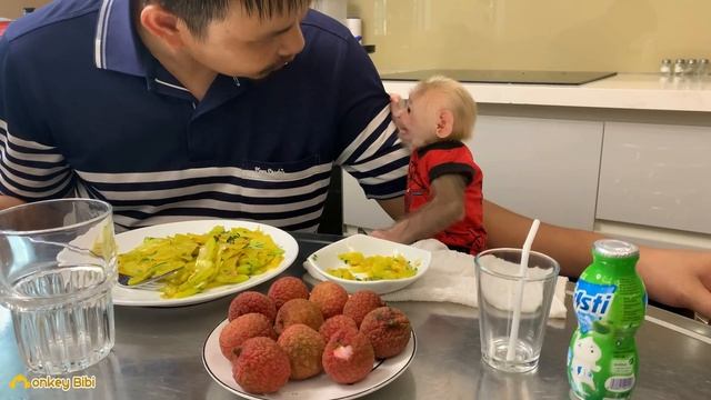 Monkey BiBi is obedient, eats well and is very full