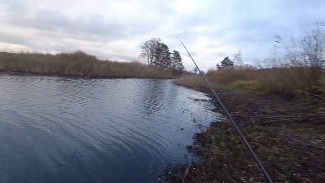 Ловля краснопёрки на ультралайт на отводной поводок