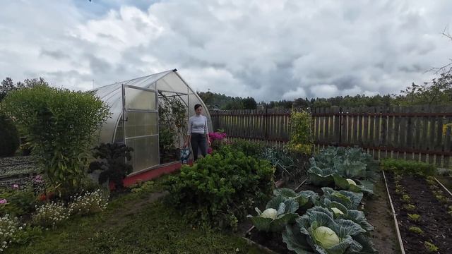 6 соток 9 августа 2024 года. Хроника.