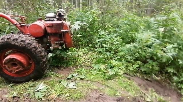 Поездка в лес на мотоблоке