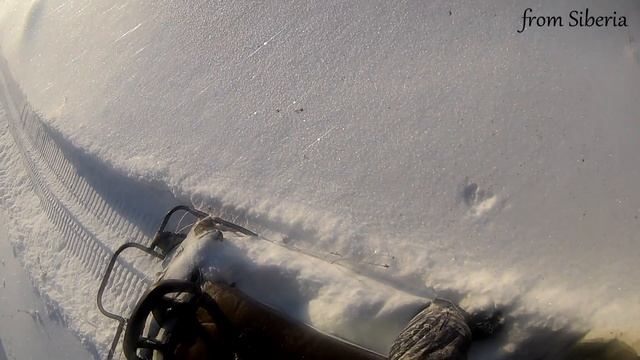 Снегоход Буран (длиннобазный) в целик. Катаемся на снегоходах.