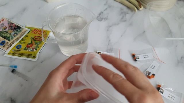 Стрелиция королевская и стрелиция Николая из семян. Часть 1