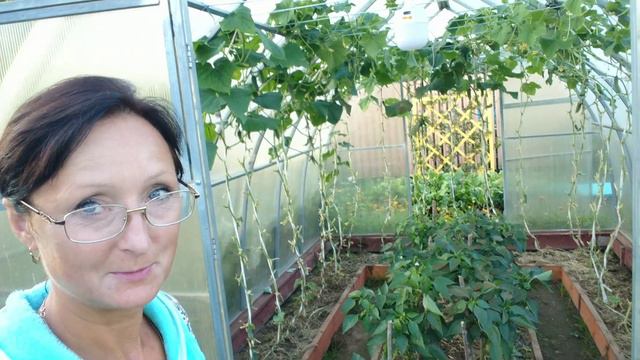 Видео привет с 6 соток 14 июля 2024 года.