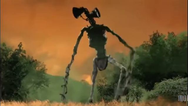 бессмертный сереноголовий