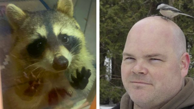 Слишком внезапные встречи