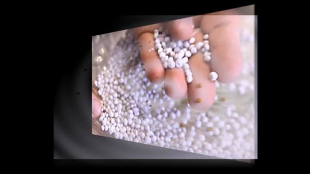 Как нельзя сажать гранулированные семена