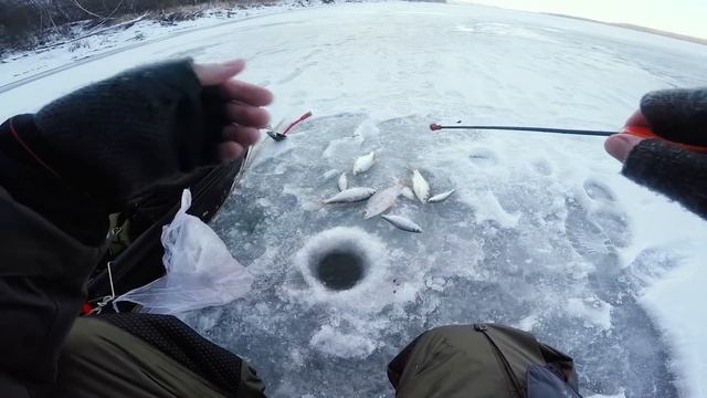 Вот это ПЛОТВА!!!Зимняя рыбалка-ловля плотвы на безмотылку-гвоздекубик