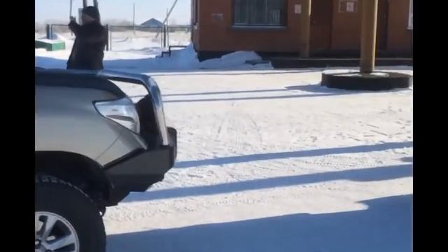 Охота на волков  Казахстан  2я версия