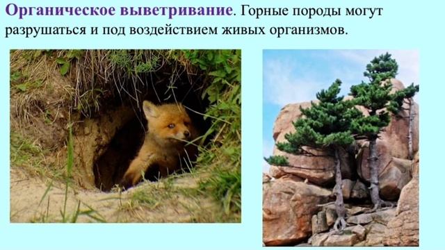 Тема 18. Влияние внешних процессов на формирование рельефа (7 класс)