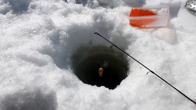 Ловля ленка зимой.Снасть на ленка.