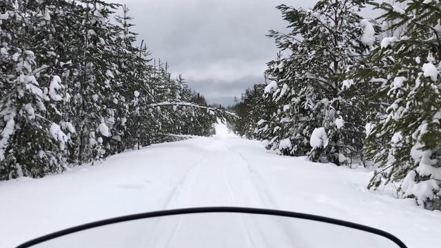 Какой РАСХОД у снегохода Stels Viking 600 / Ответ на самый популярный вопрос