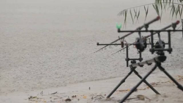 Как поймать карпа летом? Особенности ловли карпа в июле.