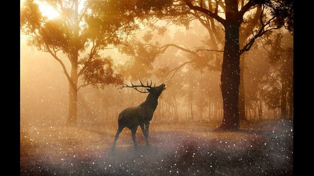 Злая свекровь. Жизненные истории, интересные истории, аудио рассказ