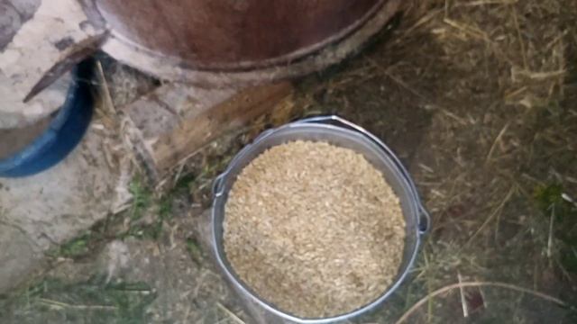 Самодельная зернодробилка своими руками.
Дробилка для зерна.