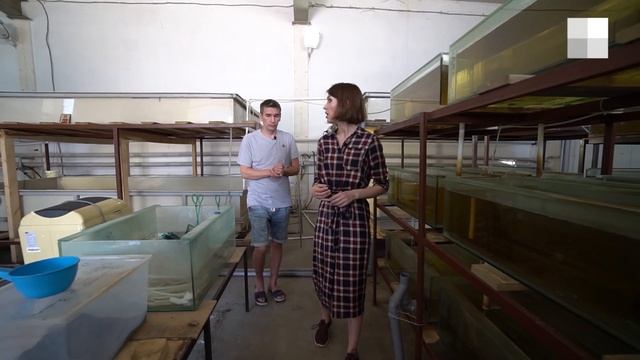 Бизнес на раках | 72.RU