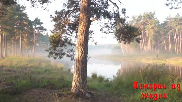 Мачеха попробовала с пасынком, такие ощущения ей и не снились. История из жизни.