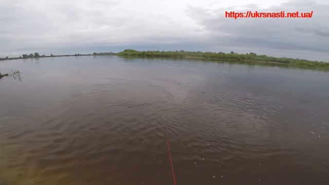 Таких КАБАНОВ я еще НЕ ЛОВИЛ. Рыбалка на КАСТИНГОВУЮ СЕТЬ. Кастинговая сеть испанка, испанского тип