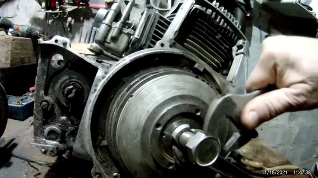 муравей часть 2 династартер.mp4